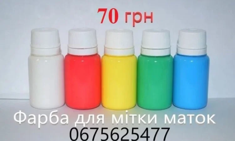 Краска для метки маток / Фарба для мітки бджолиних маток - фото № 1