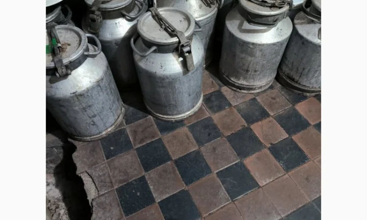 Продам молочні бідони 40-25літрів - фото № 1