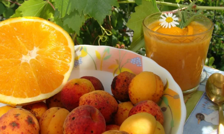 Продам саджанець Абрикос садовий урожайний - фото № 3