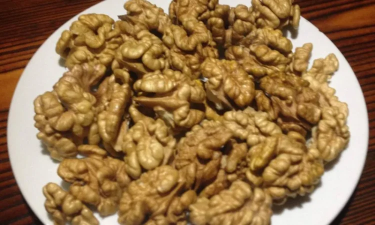 Привиті саджанеці волоського горіху сорт Пісчанський - фото № 3