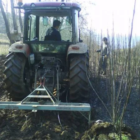 Продам Грецкий орех Кочерженко, Идеал, Великан трехлетние, Настоящий сотр - фото № 3
