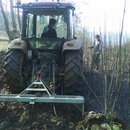 Продам саженцы 3-х летнего грецкого ореха "Идеал" 1, 7 метра - 2 метра Оригинал - фото № 3