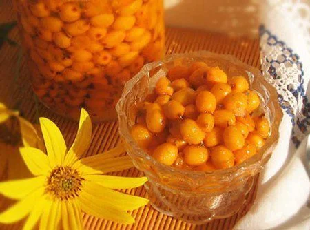 Облепиха крупноплодная бесшипная саженцы дешево - фото № 6