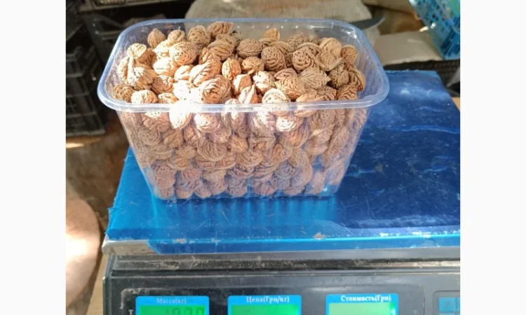 Персик Хасанский - фото № 4