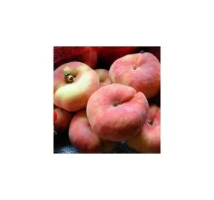 Саженцы персика 2 летние 3шт.-420гр - фото № 2