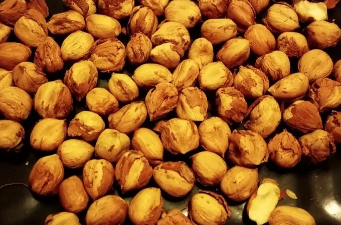 Дворічні саджанці фундука Каталонський, вкс - фото № 2