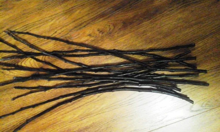 Черенки плодовых деревьев - фото № 1