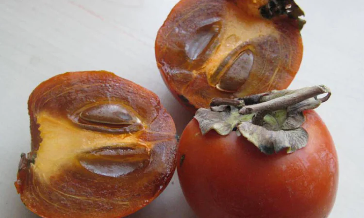 Питомник "Агродиво" реализует собственную продукцию более 900 сортов - фото № 17