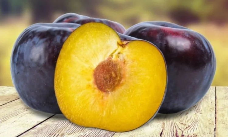 Питомник реализует саженцы на ОСЕНЬ 2024 оптом и в розницу на сайте "Сад растений" - фото № 13