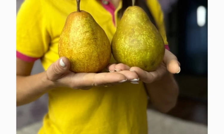 Продам саджанці плодових дерев та кущів, а також декоративних рослин - фото № 17