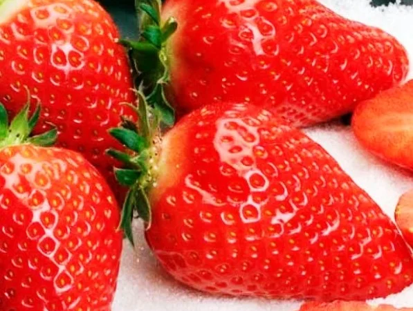 Саженцы клубники сорта Альба - высокоурожайные и вкусные - фото № 1