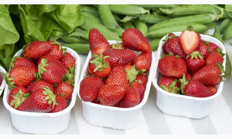 Клубника Кори (Cory Strawberry) саженцы клубники Фриго - фото № 1