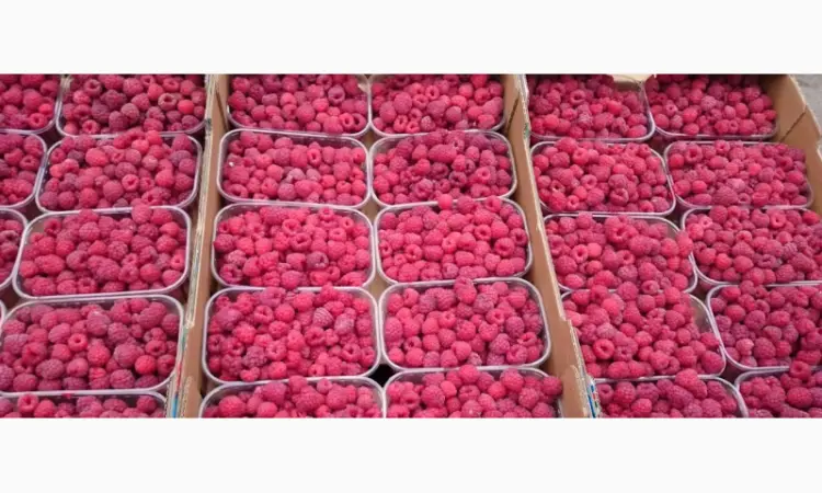 Продажа Малина саженцы сорта Атлант полана Зюгана еще 15 сортов - фото № 1