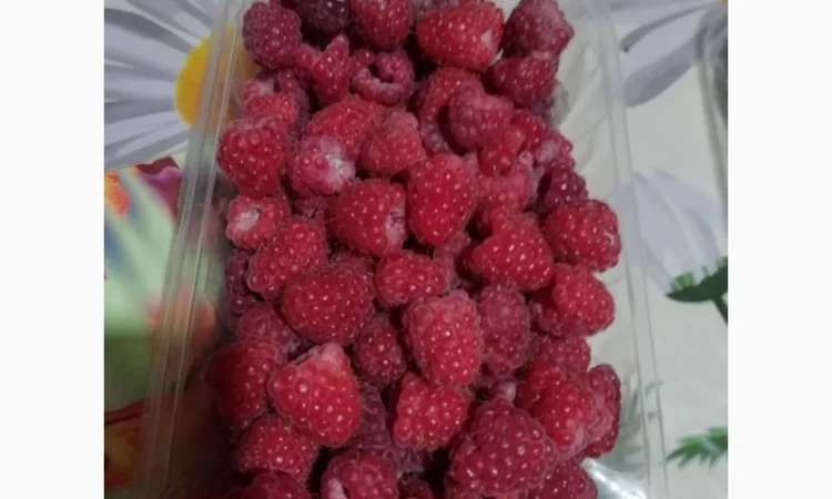 Саджанці ремонтантної малини Брусвяна - фото № 5