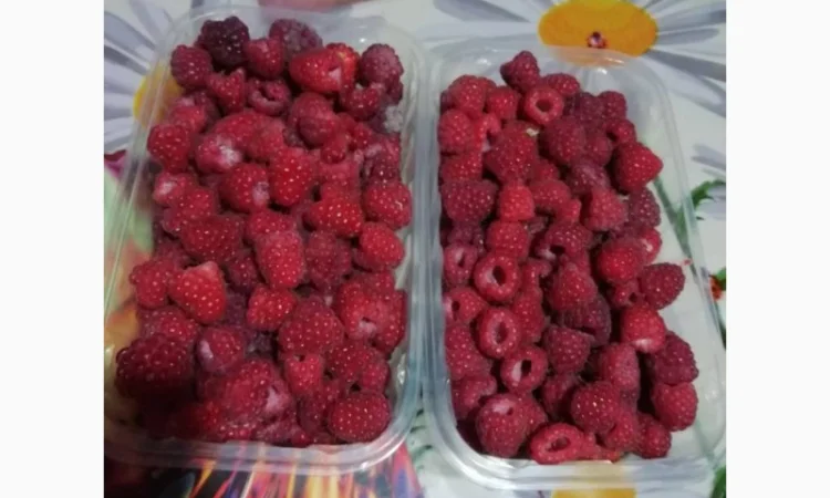 Саджанці ремонтантної малини Брусвяна - фото № 2