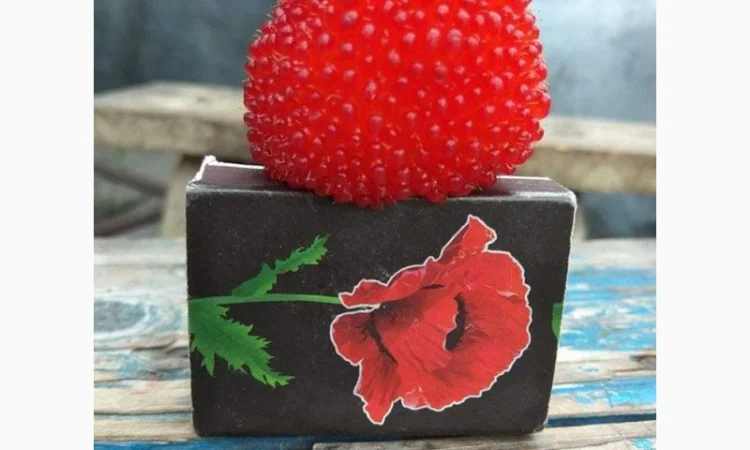 Саджанці Малина Мяо Мяо - фото № 2