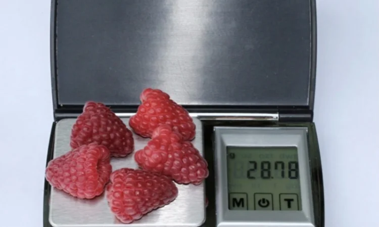 Продам саджанці ремонтантної малини Аміри - фото № 1