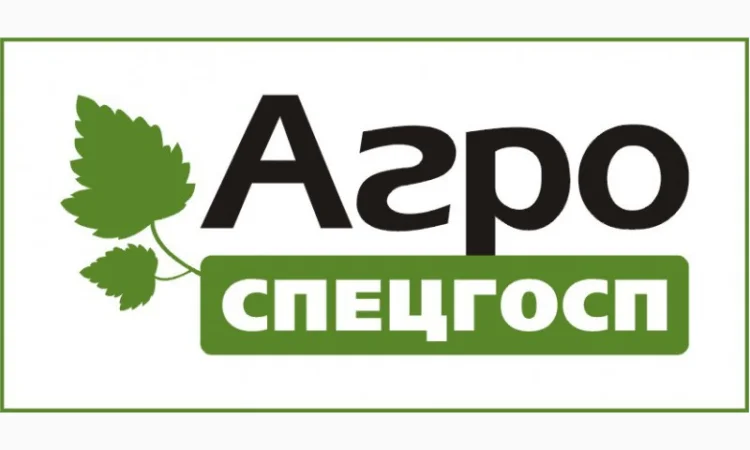 Саженцы смородины Gofert, Ruben, Ores, Tiben - фото № 1