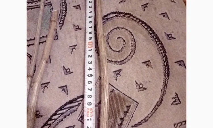 Черенок смородины сорта Тибен, Вернисаж, Титания, Бумер, Рубен - фото № 1