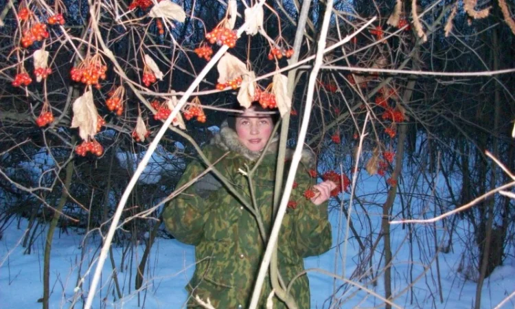 Саженцы черемухи, калины, рябины, ивы - фото № 3