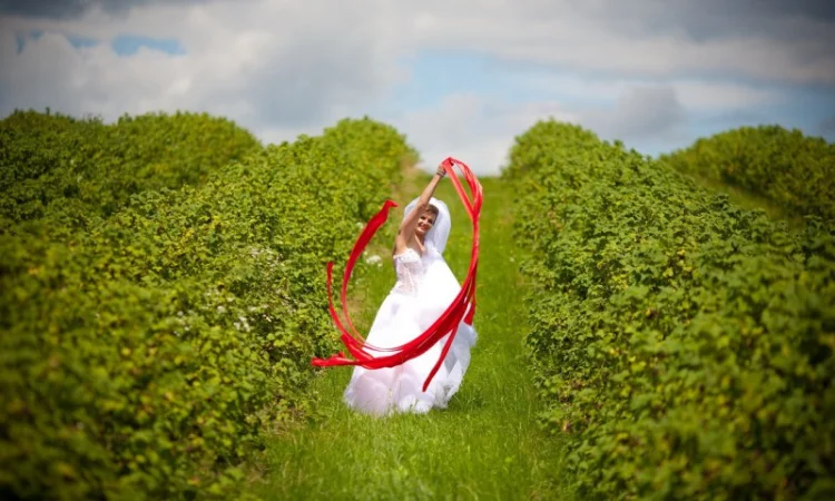 Саженцы черной смородины - фото № 1