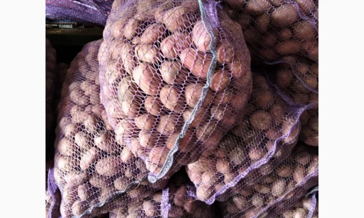 Овоще хранилище закупает борщевой набор. От фермеров и менеденжеров с 20 тонн - фото № 13