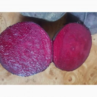 Закупівля борщового набору, товарний картопля 3000 тонн - фото № 5