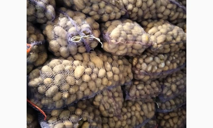 Закупівля борщового набору, товарний картопля 3000 тонн - фото № 12