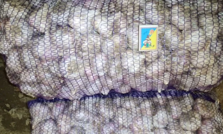 Овоще хранилище закупает борщевой набор. От фермеров и менеденжеров с 20 тонн - фото № 8