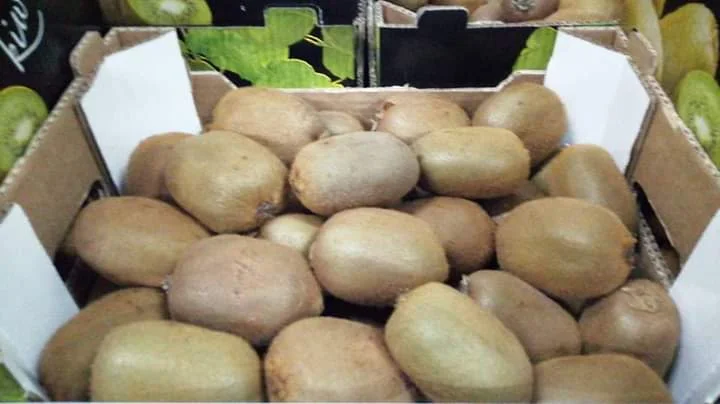 Продам овощи, цитрус и ягоды от поставщика с Греции - фото № 9