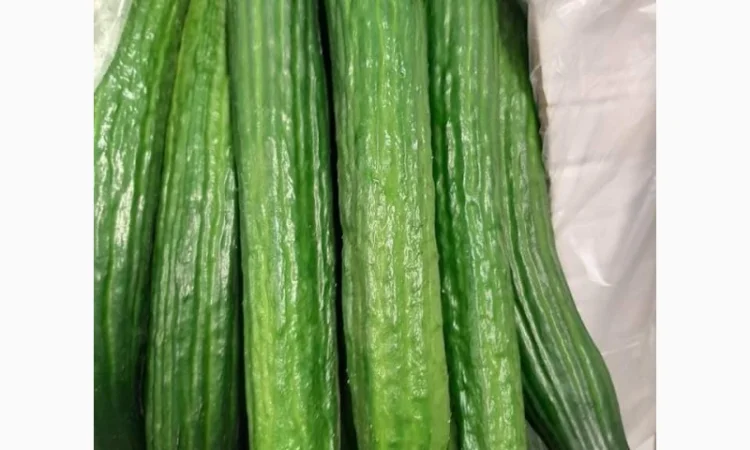 Продам овощи, цитрус и ягоды от поставщика с Греции - фото № 10