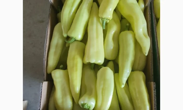 Продам овощи, цитрус и ягоды от поставщика с Греции - фото № 1