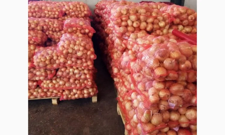 Продам овощи, цитрус и ягоды от поставщика с Греции - фото № 13