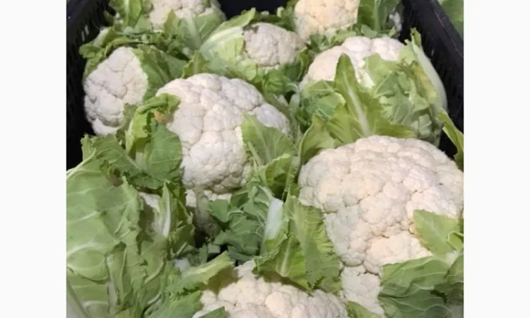 Продам овощи, цитрус и ягоды от поставщика с Греции - фото № 3