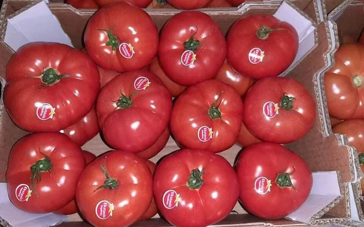 Продам овощи, цитрус и ягоды от поставщика с Греции - фото № 8