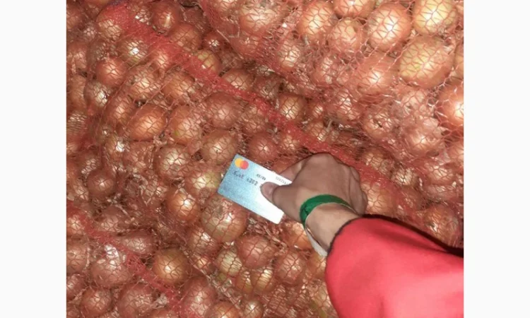 Продажа моркови и лука от поставщика, объем от 10 тонн - фото № 3