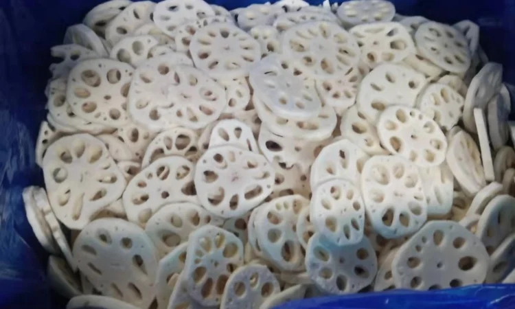 Продажа овощей и фруктов от китайского поставщика – от 20 тонн - фото № 15