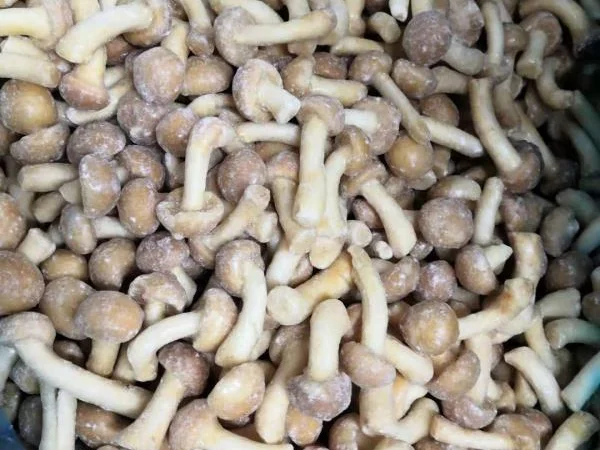 Продажа овощей и фруктов от китайского поставщика – от 20 тонн - фото № 14