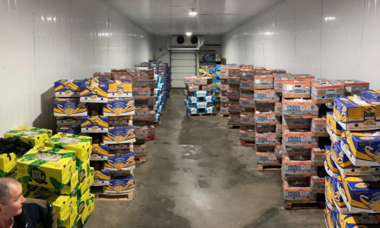 Овощи, фрукты, зелень, соления, экзотика. Опт - фото № 4