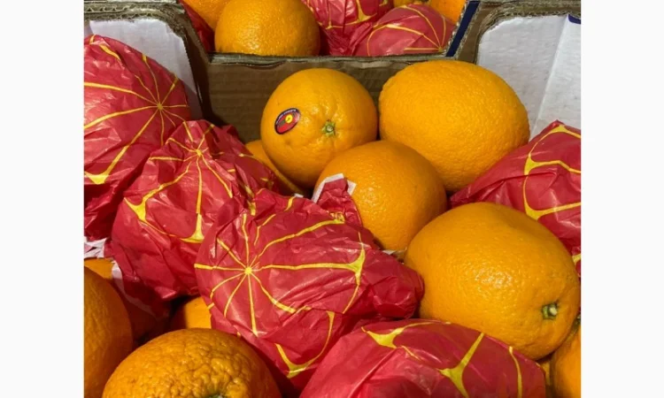 Овощи, фрукты, зелень, соления, экзотика. Опт - фото № 2