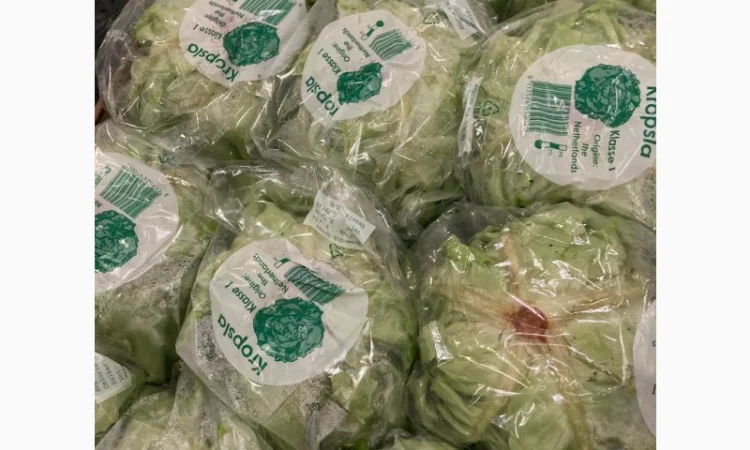 Овощи, фрукты, зелень, соления, экзотика. Опт - фото № 3