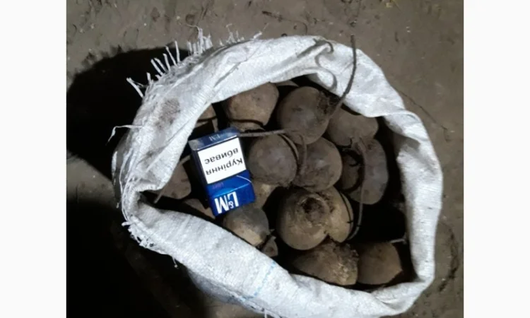 Продаємо моркову, цибулю, капусту, буряк, картоплю з доставкою від 1 тони - фото № 10