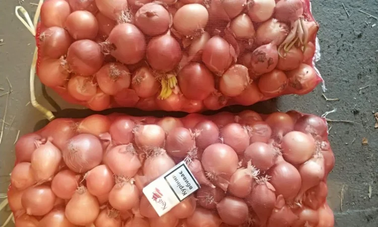 Продаємо моркову, цибулю, капусту, буряк, картоплю з доставкою від 1 тони - фото № 2