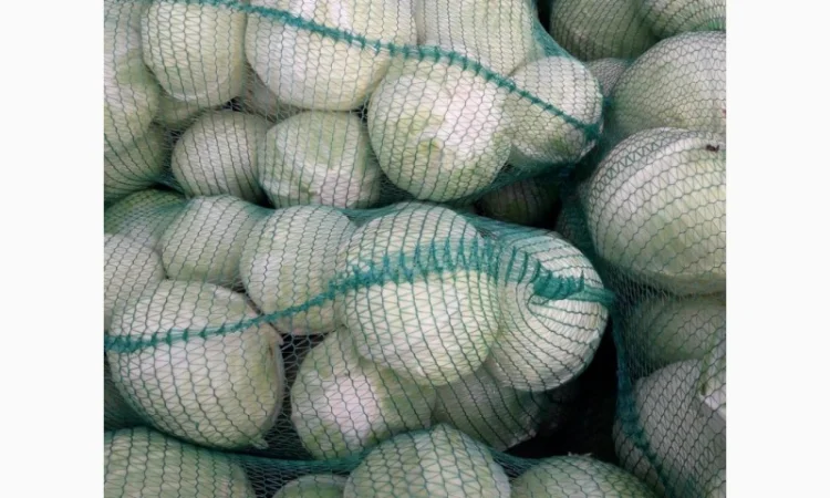 Продаємо моркову, цибулю, капусту, буряк, картоплю з доставкою від 1 тони - фото № 4