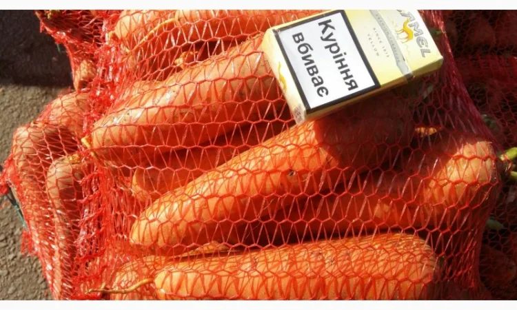 Продаємо моркову, цибулю, капусту, буряк, картоплю з доставкою від 1 тони - фото № 3