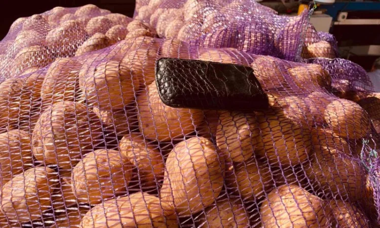 Продаємо моркову, цибулю, капусту, буряк, картоплю з доставкою від 1 тони - фото № 11