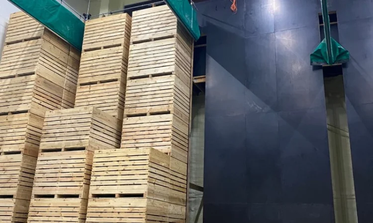 Оренда сучасного овочесховища - фото № 2