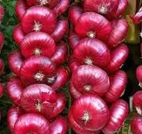 На постоянной основе закупаем Лук Ялта.Картофель и свежие овощи - фото № 1