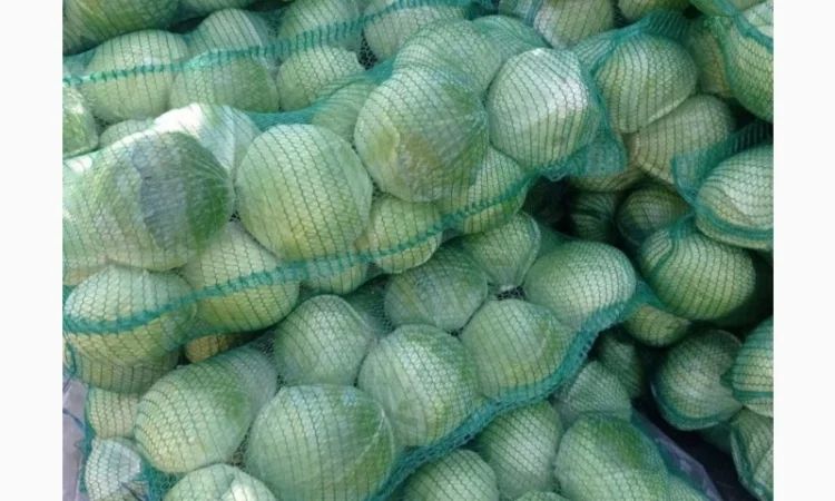 Куплю картоплю, моркву, капусту в об'ємі - фото № 3