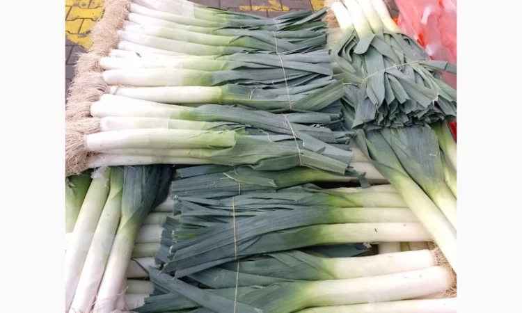 Продам лук-порей - фото № 3